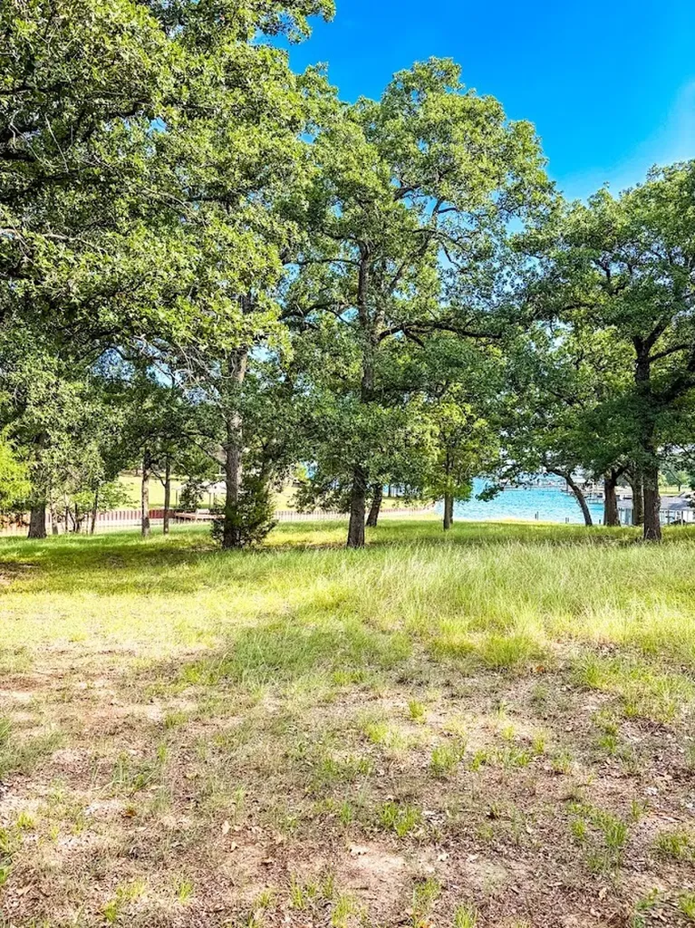 14216 Clark Drive Streetman TX 75859