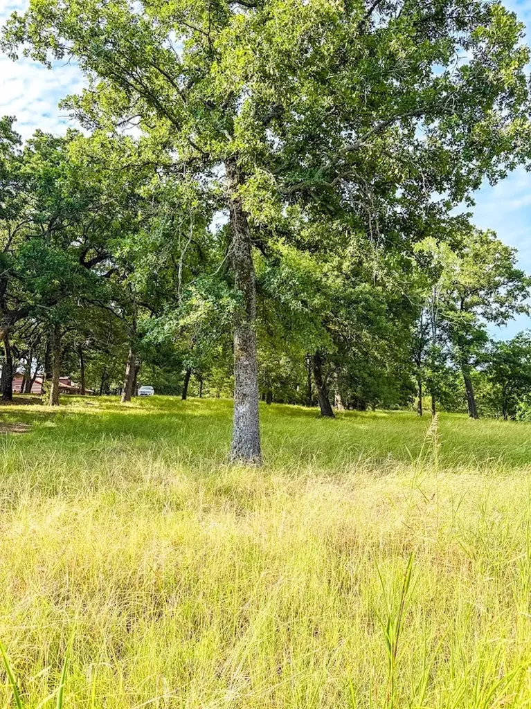 14216 Clark Drive Streetman TX 75859