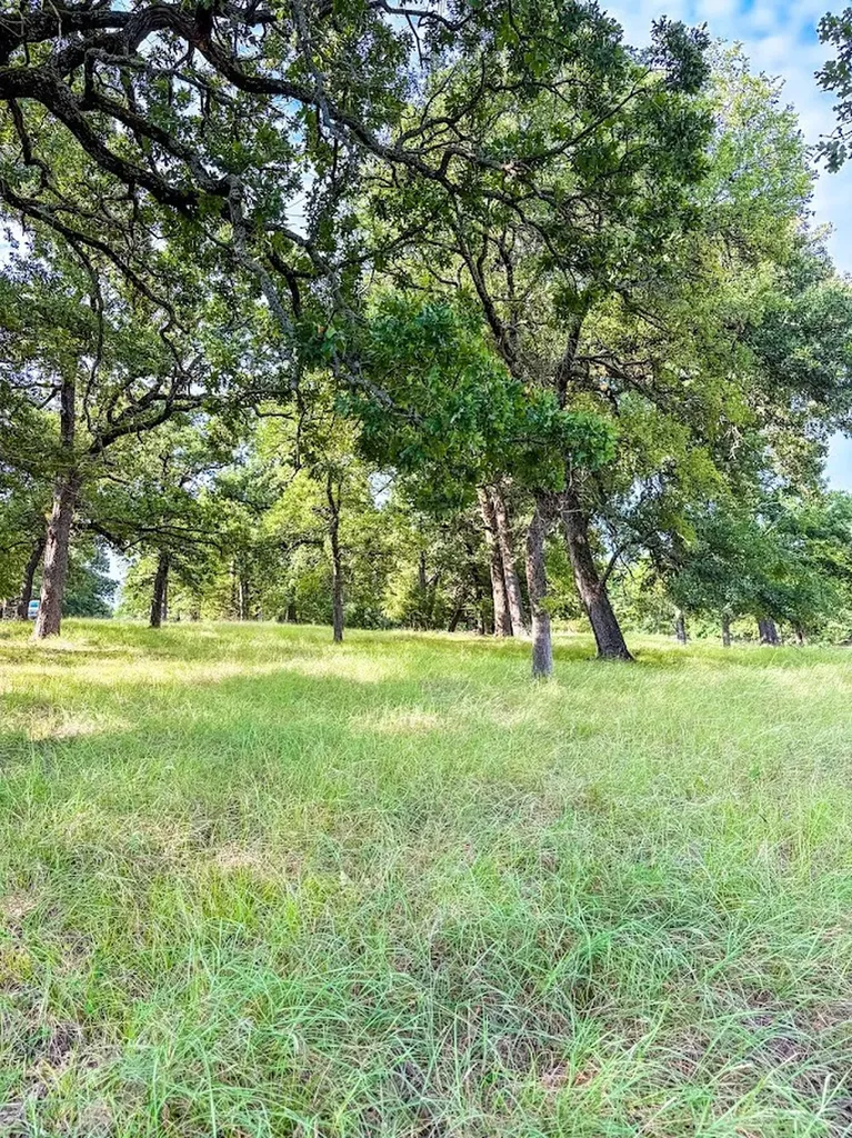 14216 Clark Drive Streetman TX 75859