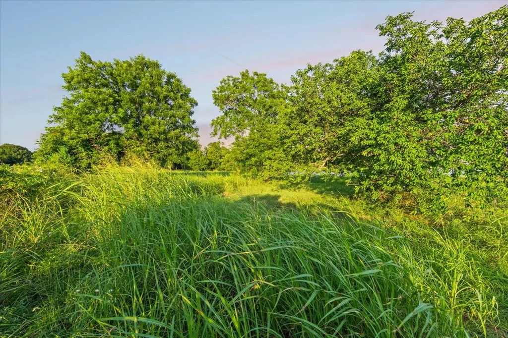 Tbd Highway 287 Kerens TX 75144