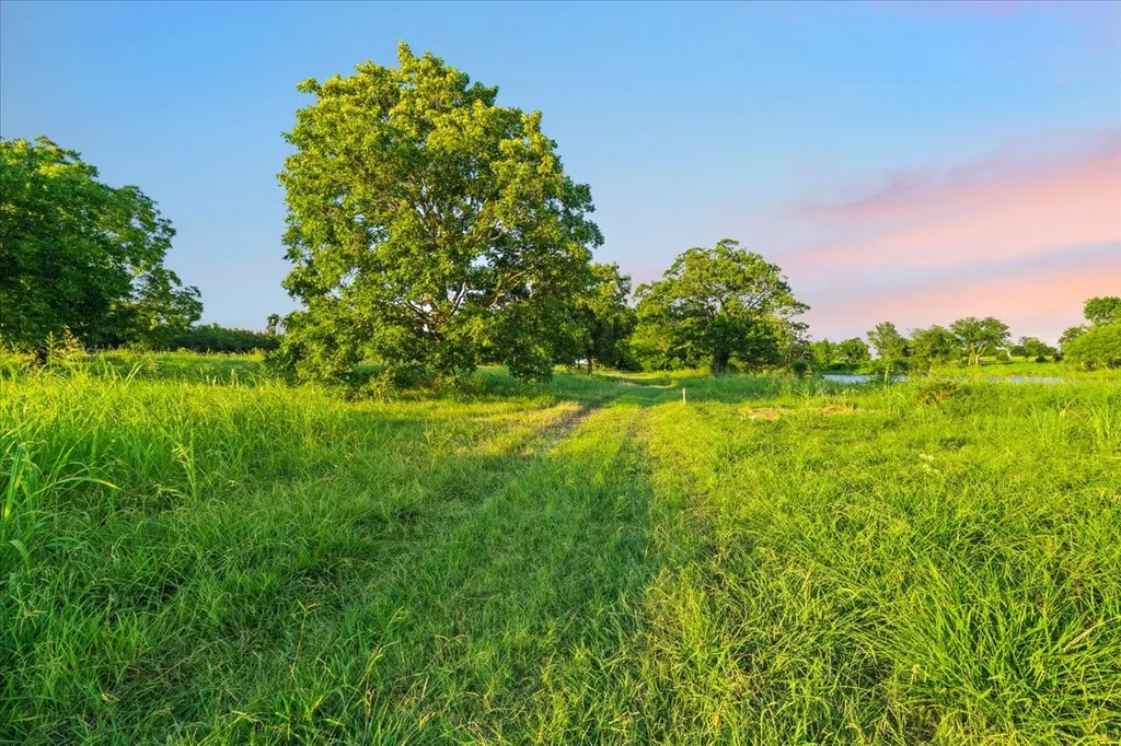 Tbd Highway 287 Kerens TX 75144
