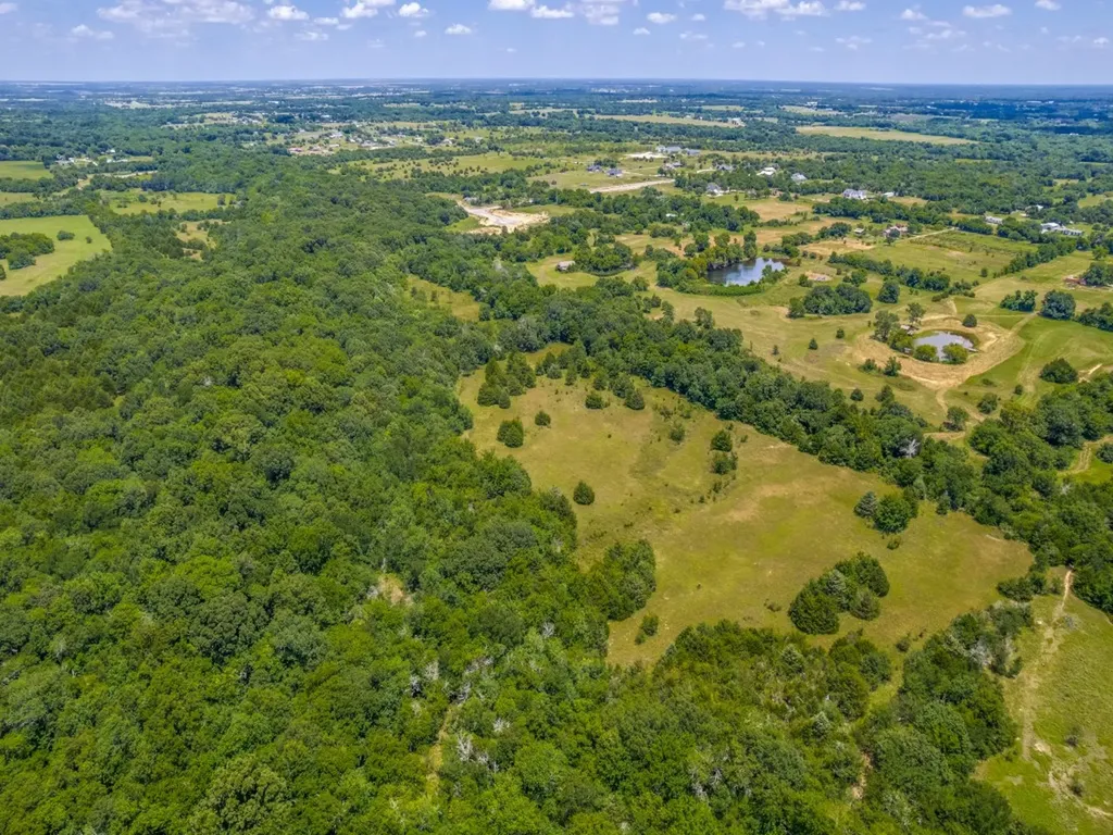 Tbd County Road 1110 Celeste TX 75423