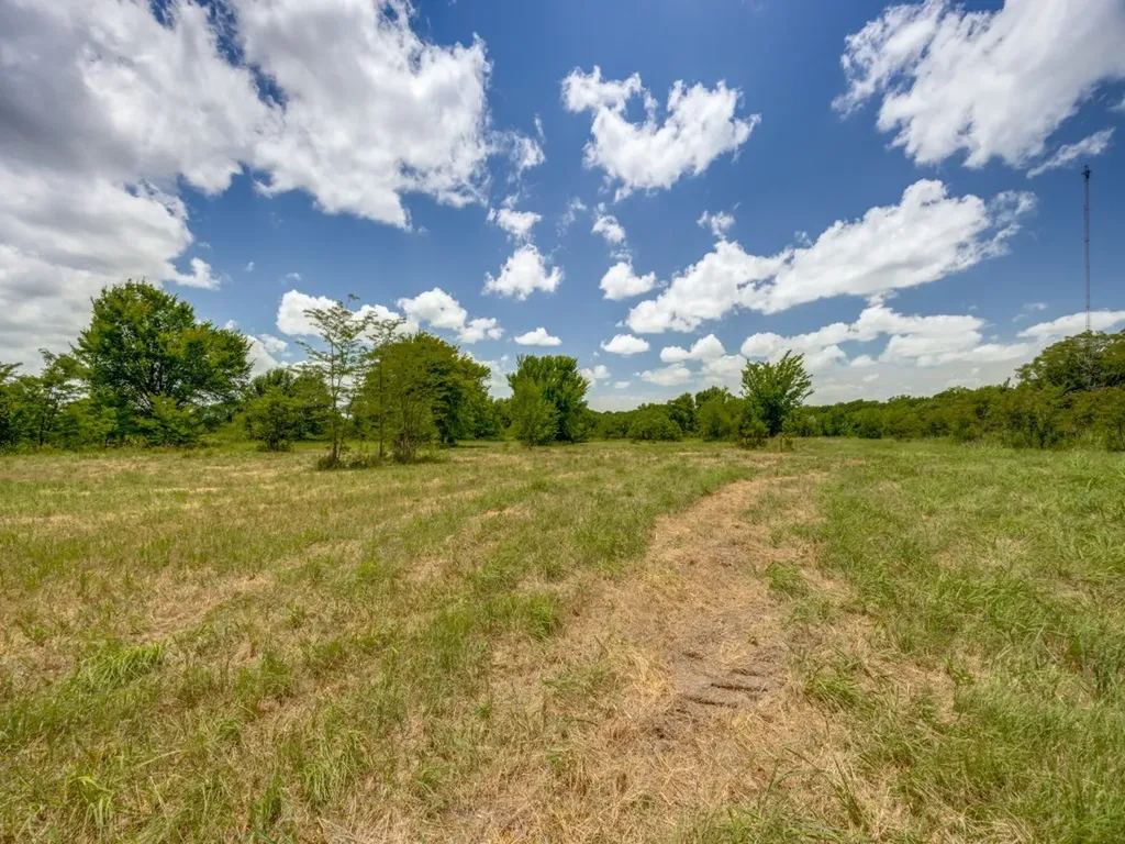 Tbd County Road 1110 Celeste TX 75423