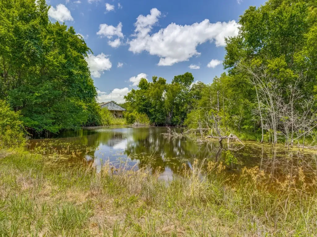 Tbd County Road 1110 Celeste TX 75423