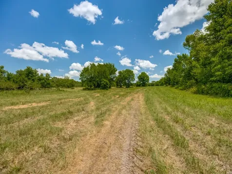 Tbd County Road 1110 Celeste TX 75423