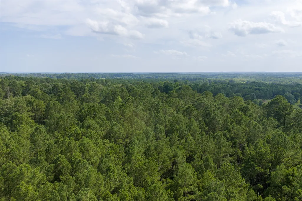 00 County Road 4117 Overton TX 75684