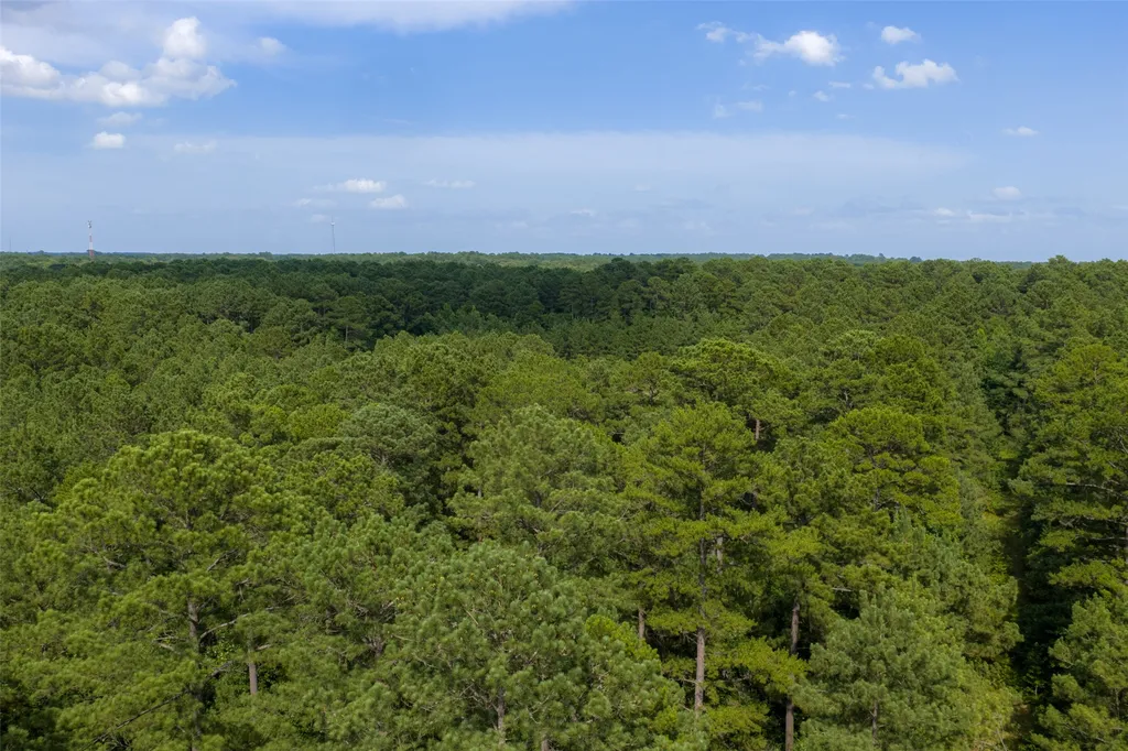 00 County Road 4117 Overton TX 75684