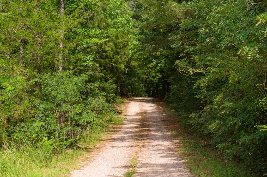 00 County Road 4117 Overton TX 75684
