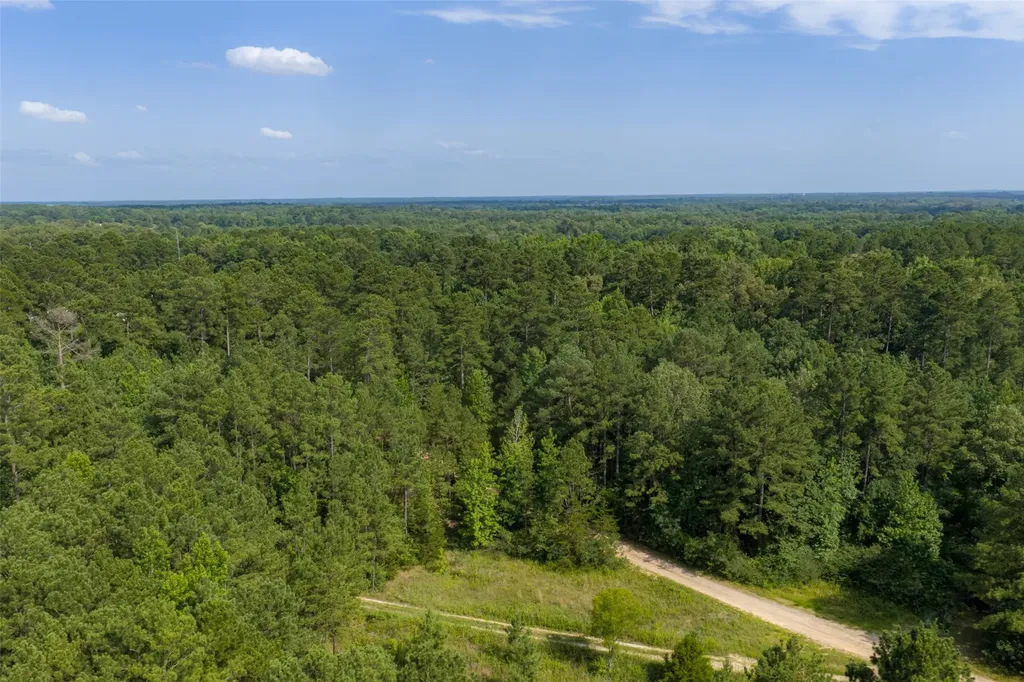 00 County Road 4117 Overton TX 75684