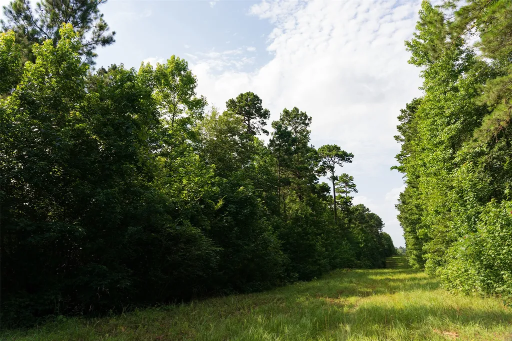 00 County Road 4117 Overton TX 75684