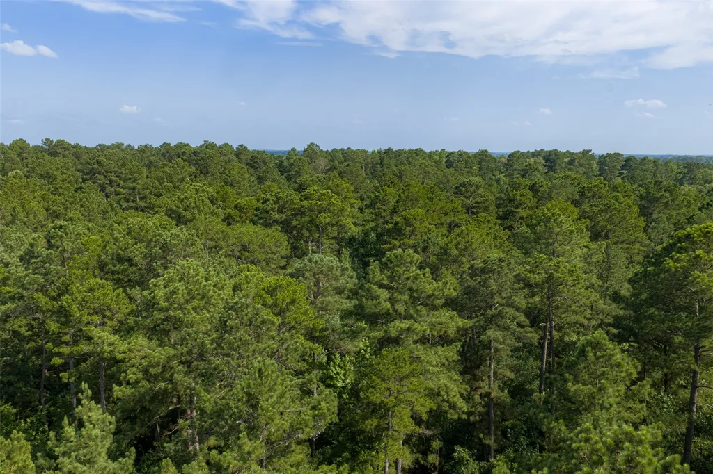 00 County Road 4117 Overton TX 75684
