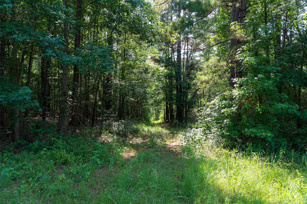 00 County Road 4117 Overton TX 75684