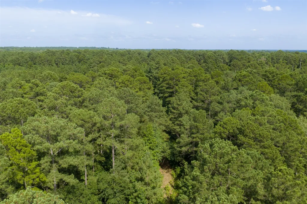 00 County Road 4117 Overton TX 75684