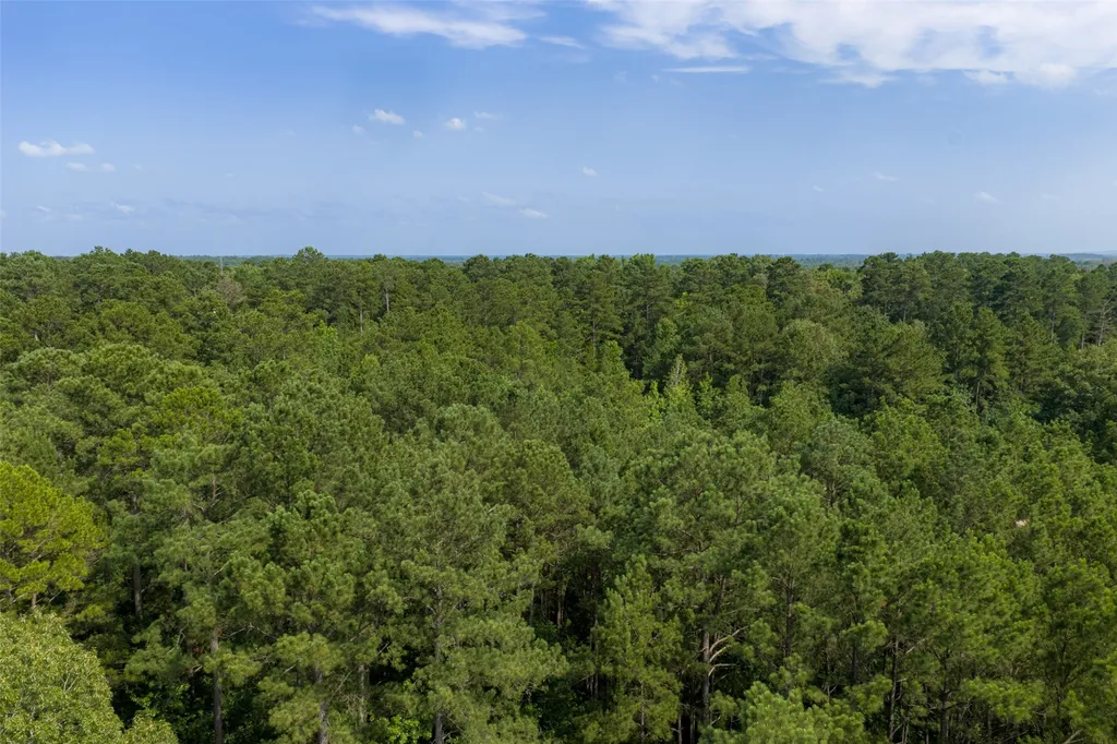 00 County Road 4117 Overton TX 75684