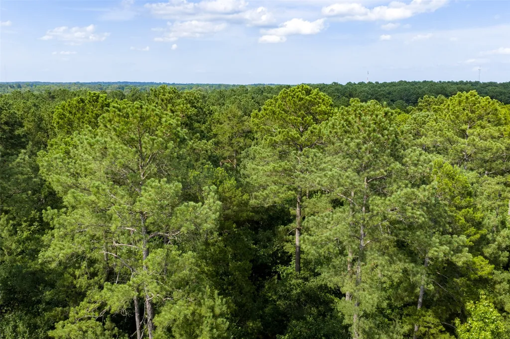 00 County Road 4117 Overton TX 75684