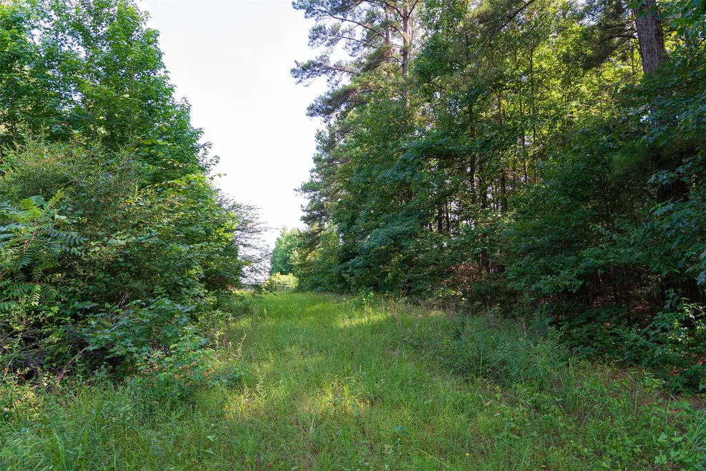 00 County Road 4117 Overton TX 75684