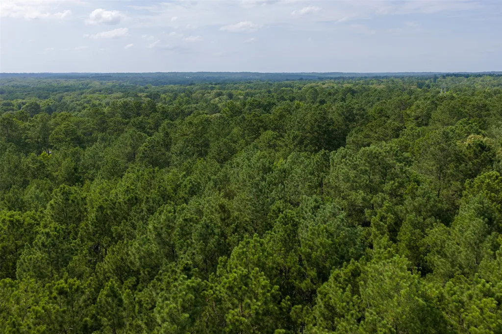 00 County Road 4117 Overton TX 75684