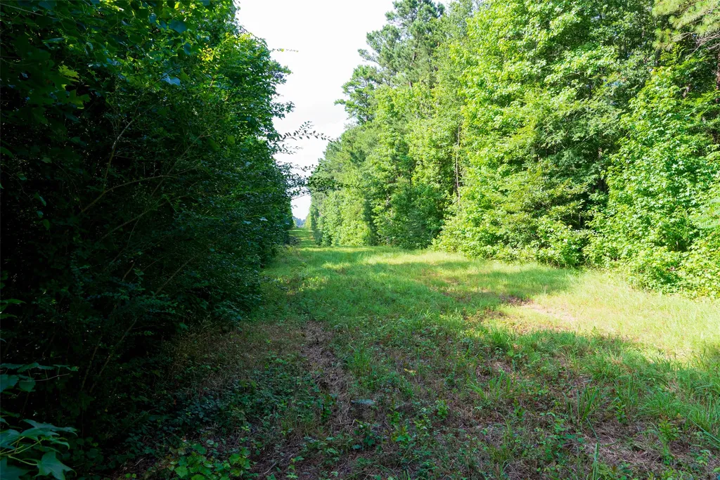00 County Road 4117 Overton TX 75684