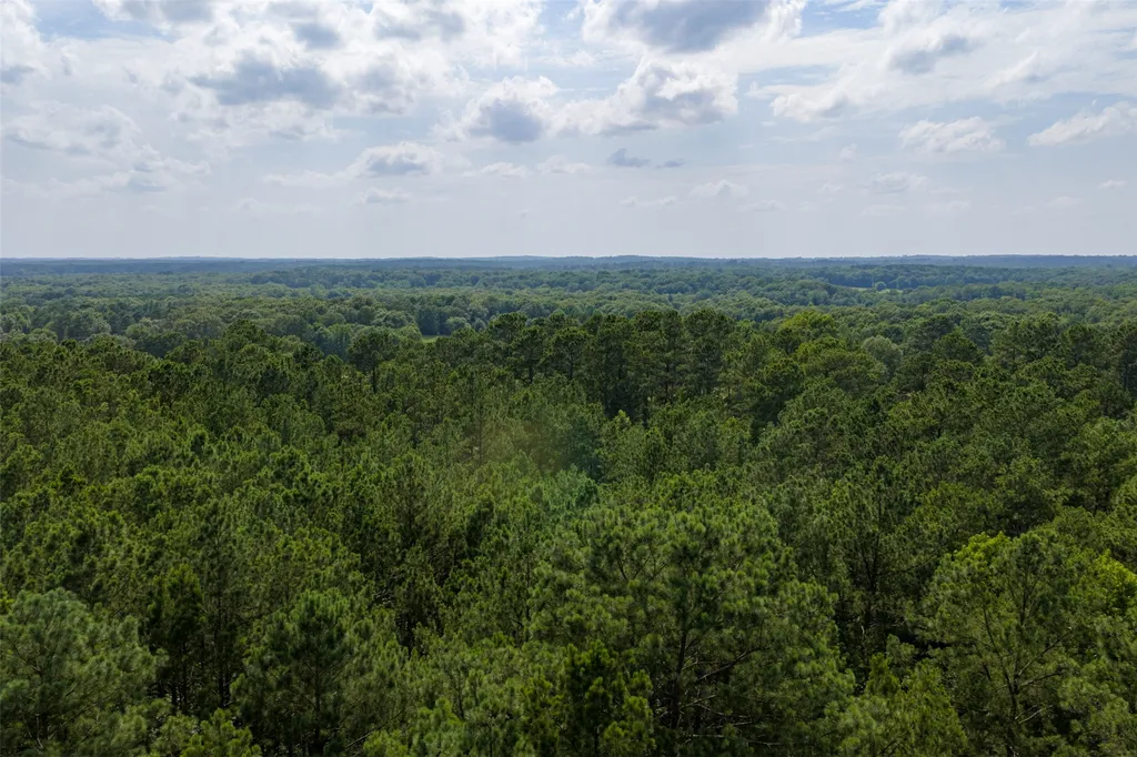00 County Road 4117 Overton TX 75684