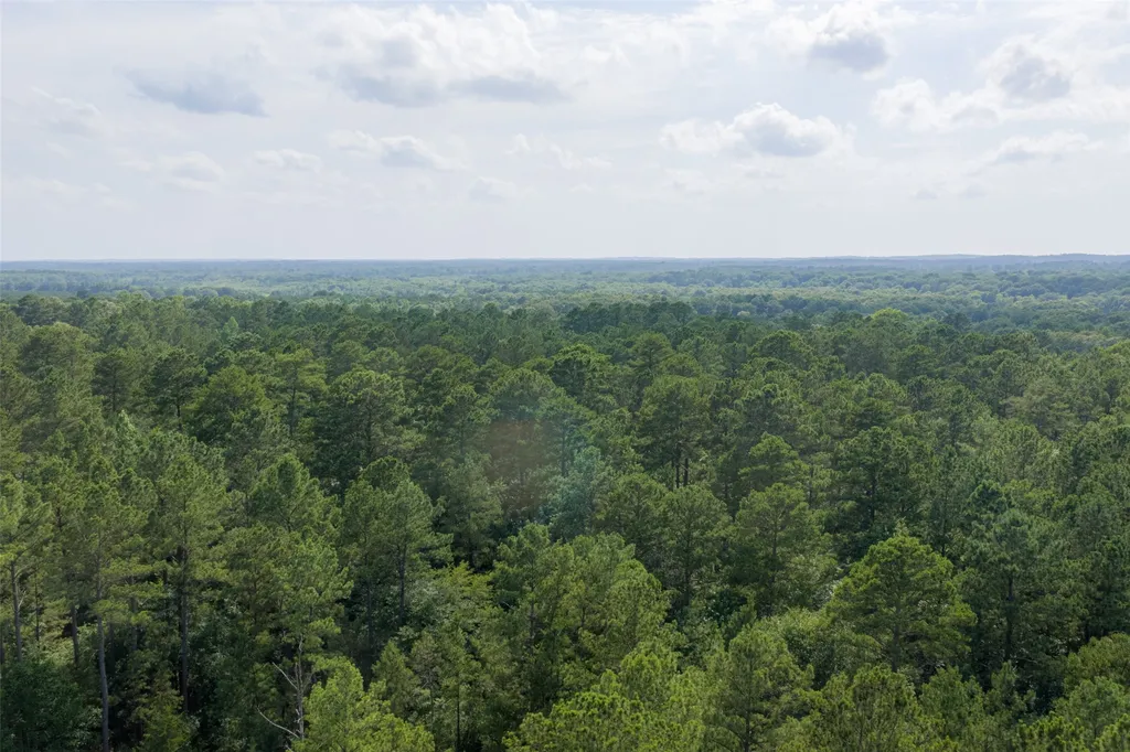 00 County Road 4117 Overton TX 75684