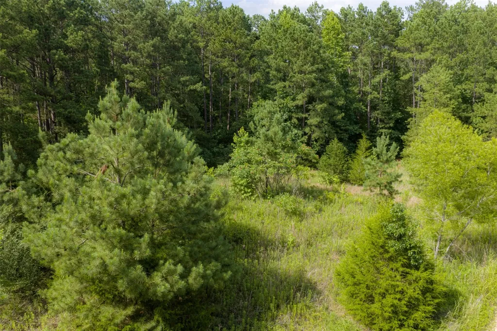 00 County Road 4117 Overton TX 75684