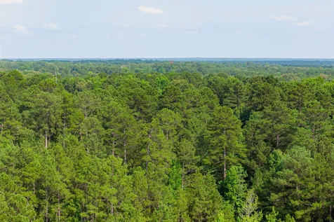 00 County Road 4117 Overton TX 75684