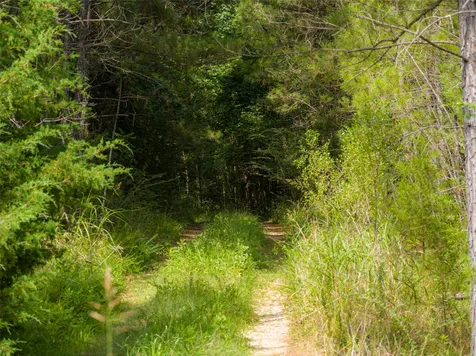 00 County Road 4117 Overton TX 75684