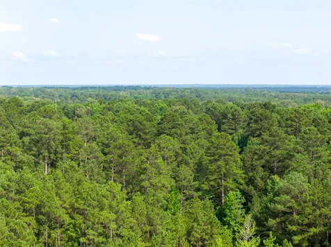 00 County Road 4117 Overton TX 75684