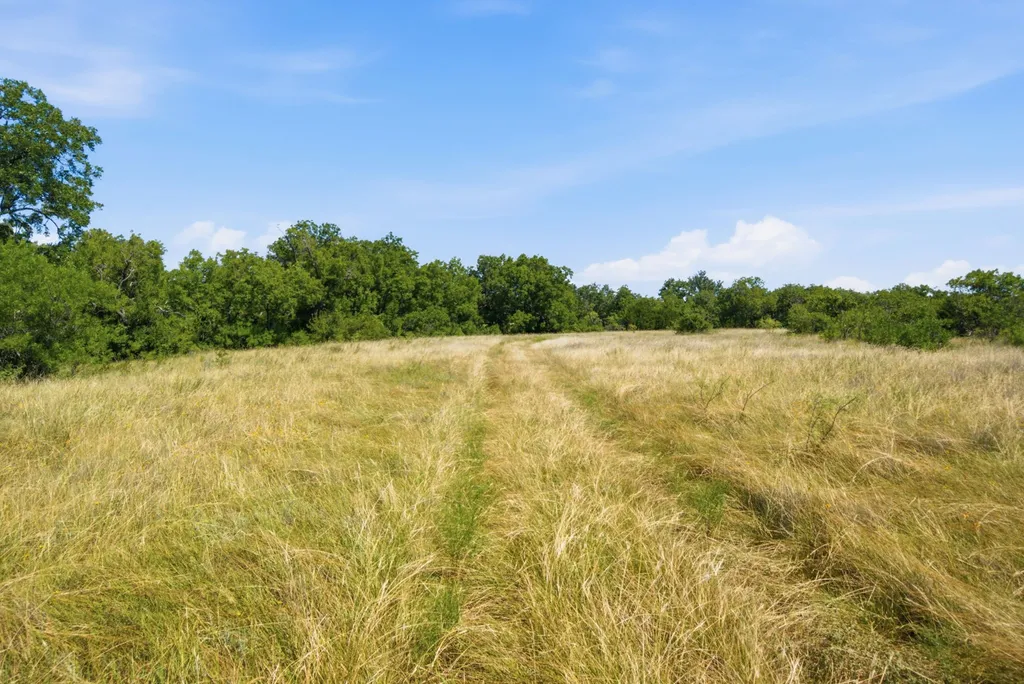 2975 N Fm 1702 Hamilton TX 76531