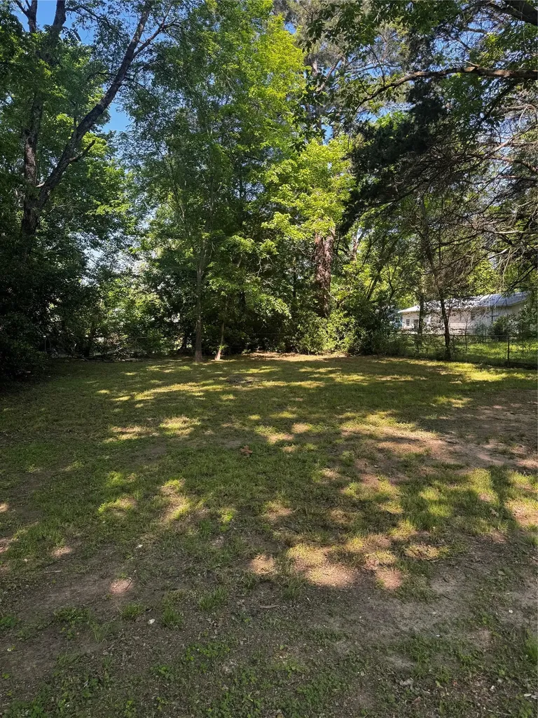 127 Frances Street Mineola TX 75773