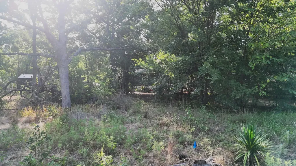 Tbd Cherokee Trail Hawk Cove TX 75474