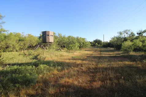 449 Cr 194 Ovalo TX 79541