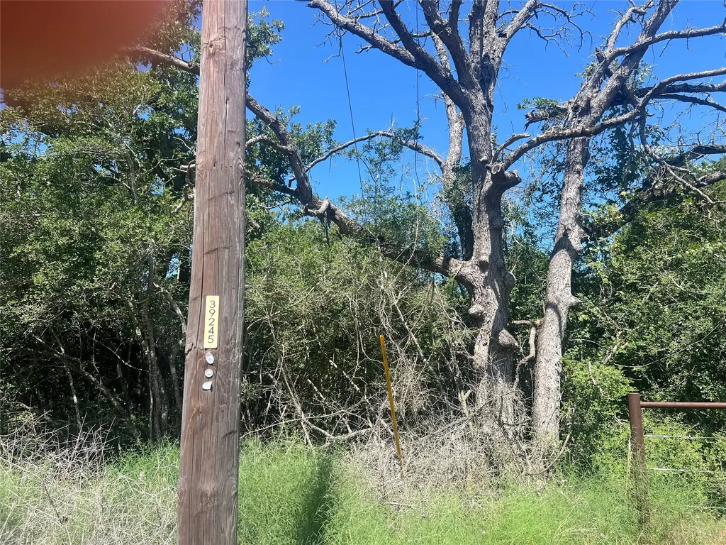 4500 Pr Normangee TX 77871