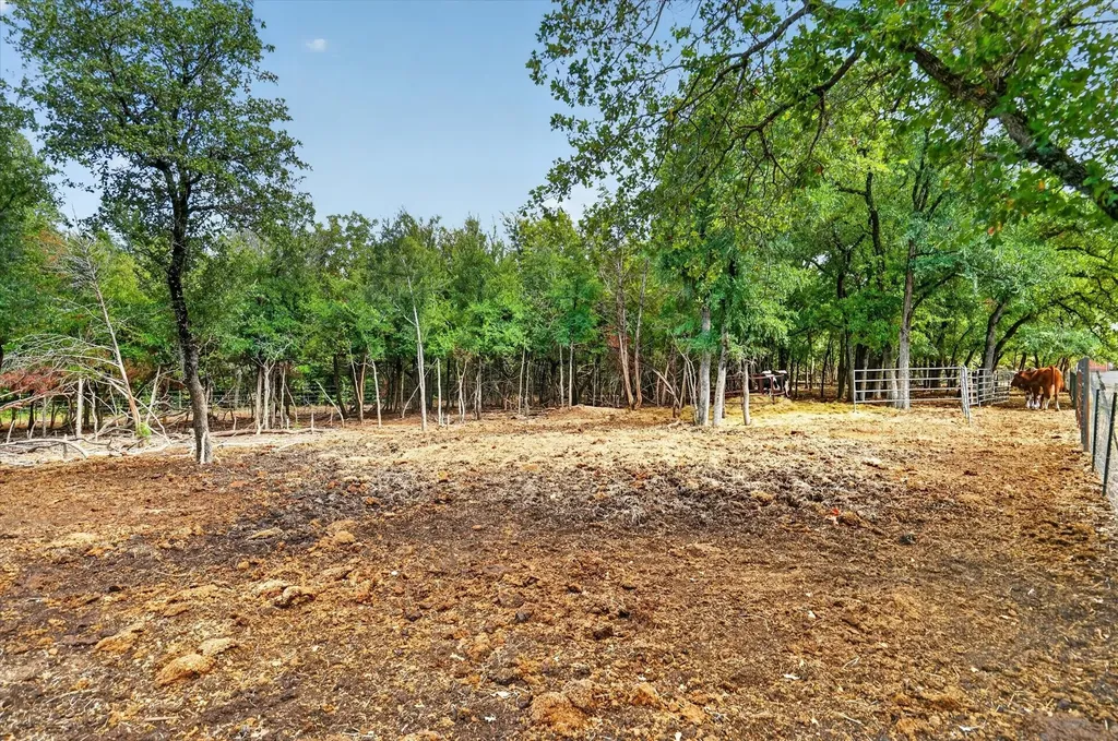 19800 E Fm 1188 Bluff Dale TX 76433