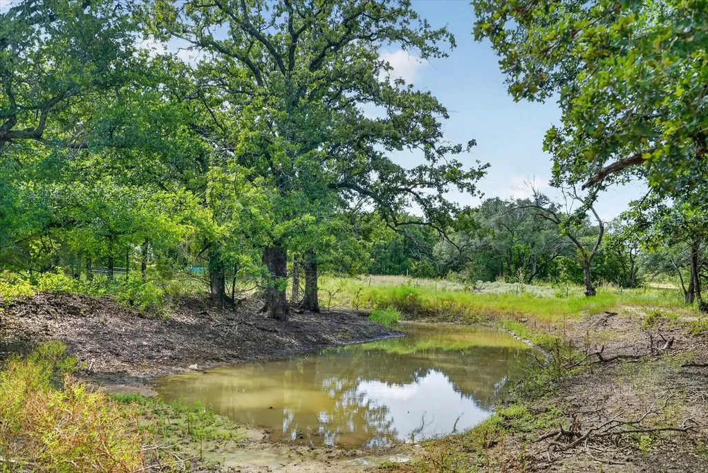 19800 E Fm 1188 Bluff Dale TX 76433