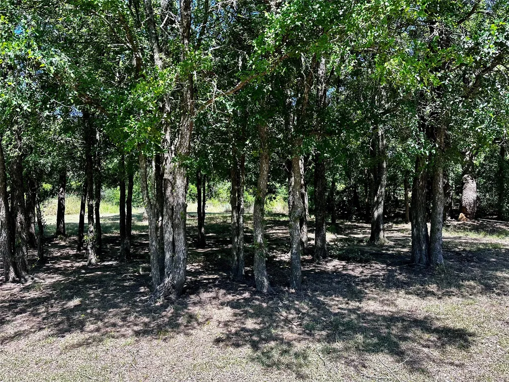 25300 State Highway 279 Cross Plains TX 76443