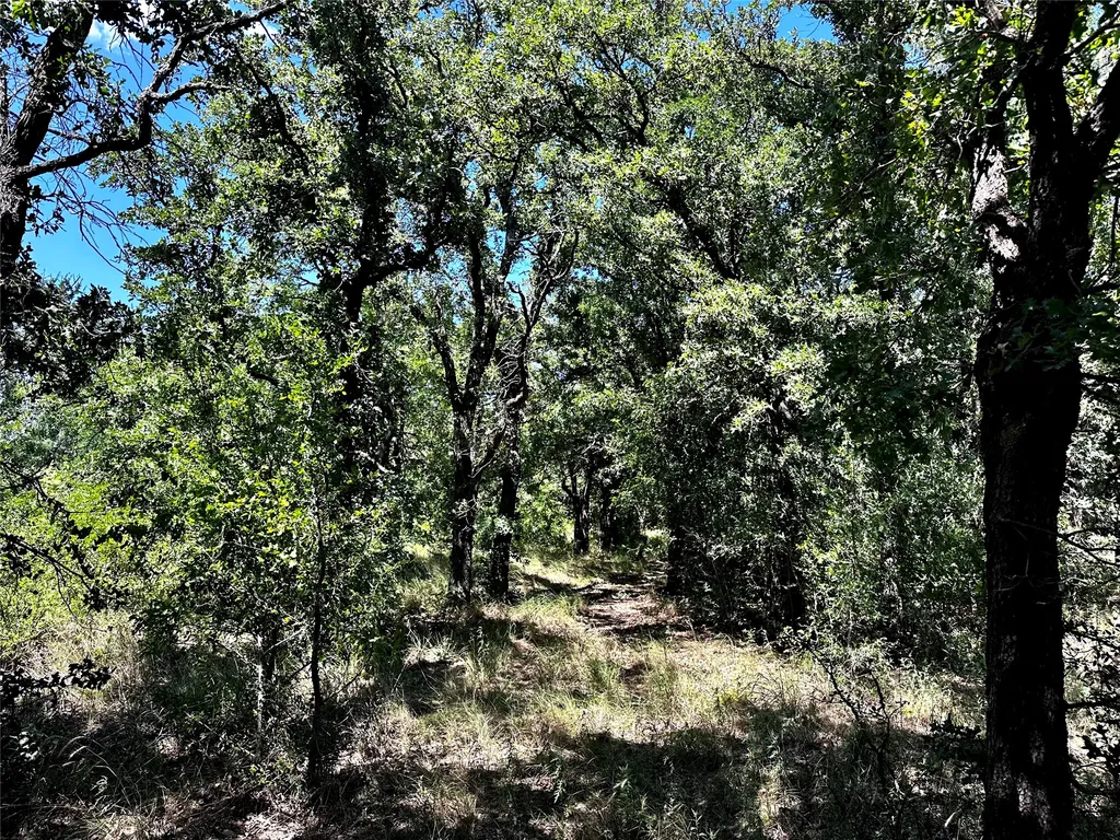 25300 State Highway 279 Cross Plains TX 76443