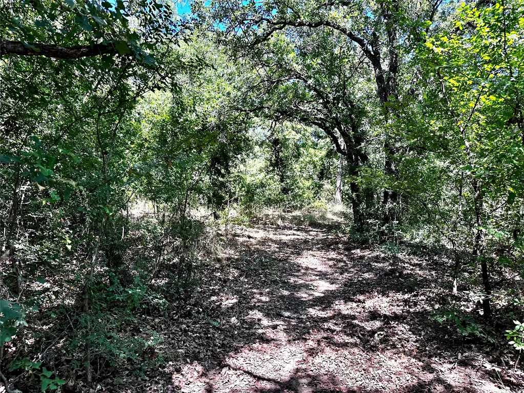 25300 State Highway 279 Cross Plains TX 76443