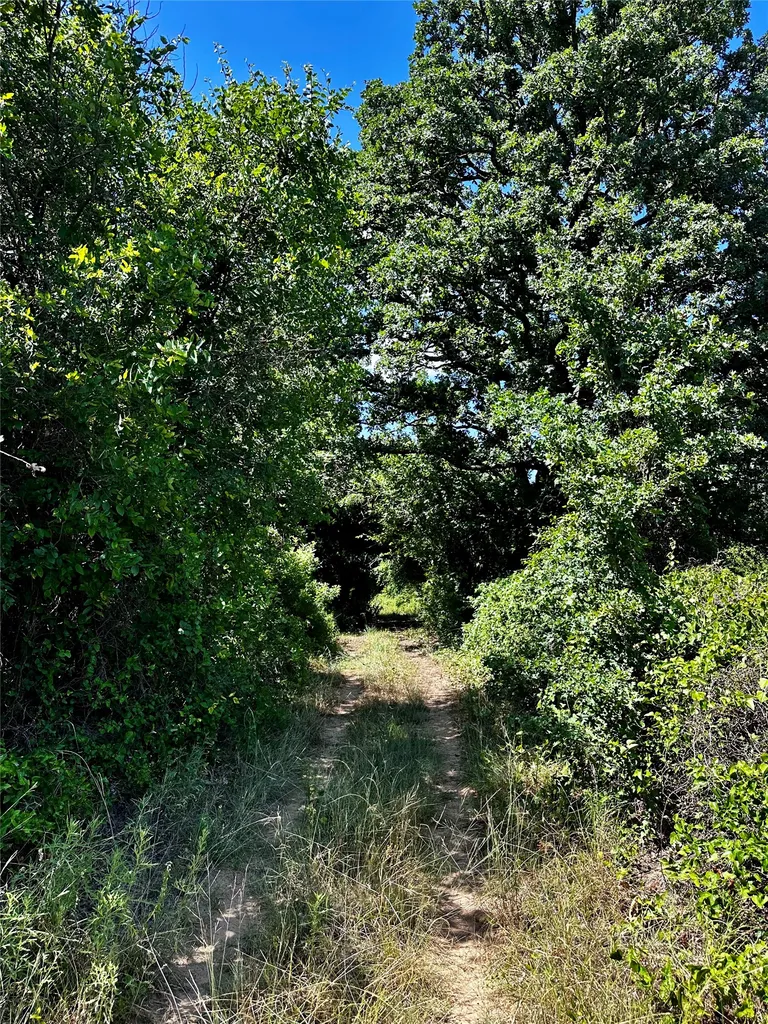 25300 State Highway 279 Cross Plains TX 76443