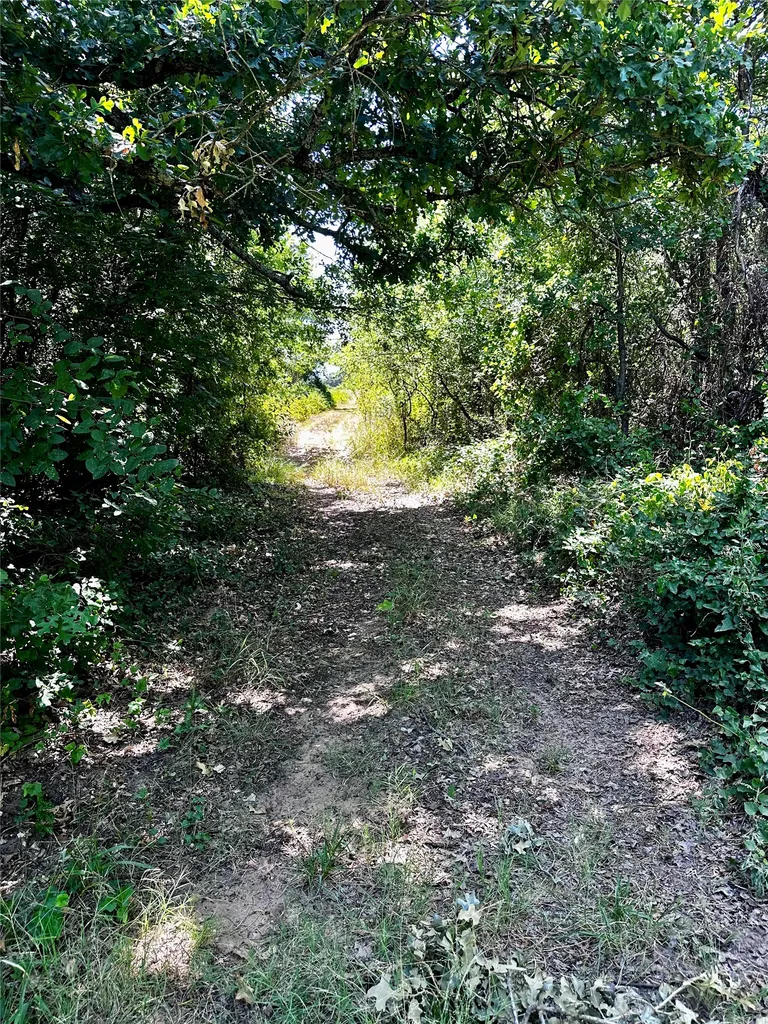 25300 State Highway 279 Cross Plains TX 76443