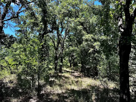 25300 State Highway 279 Cross Plains TX 76443