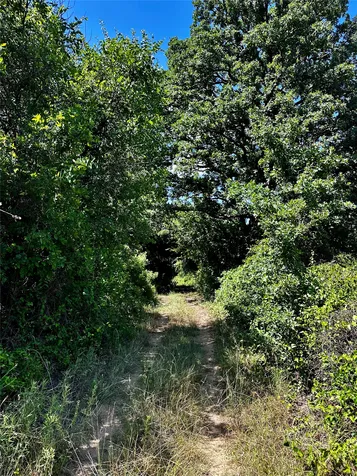 25300 State Highway 279 Cross Plains TX 76443