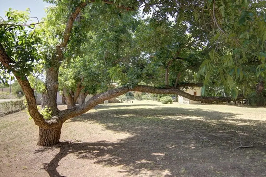 306 Cedar Street Palo Pinto TX 76484