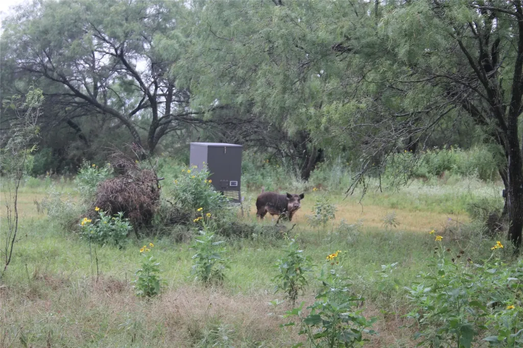 7255 County Road 124 San Saba TX 76877