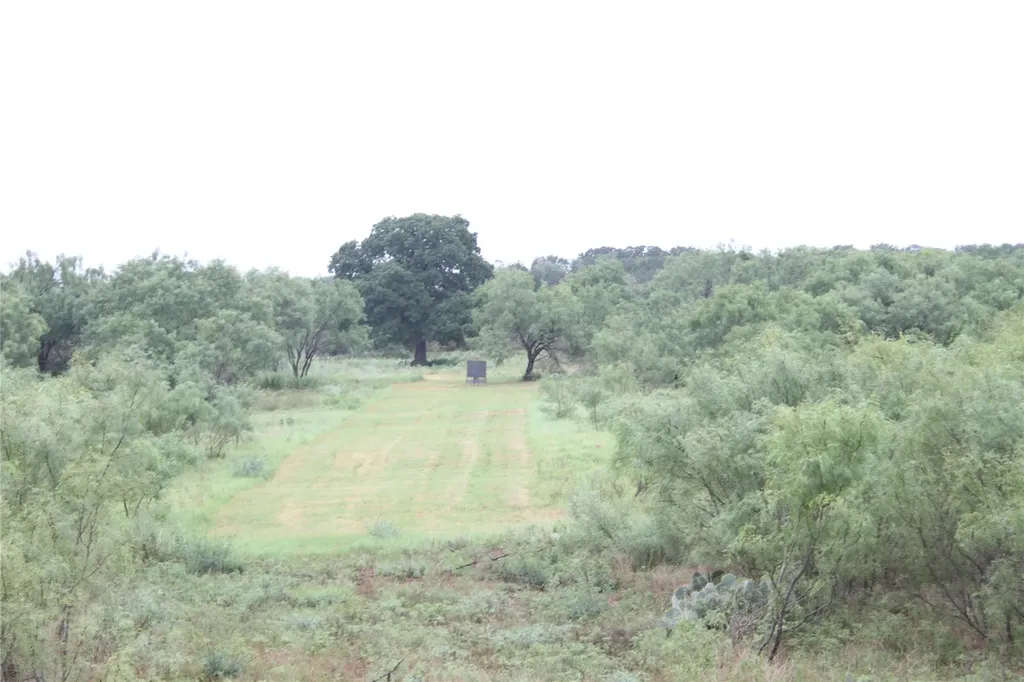 7255 County Road 124 San Saba TX 76877
