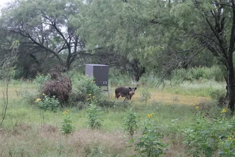7255 County Road 124 San Saba TX 76877