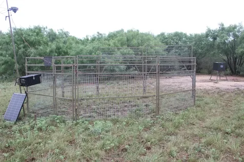 7255 County Road 124 San Saba TX 76877