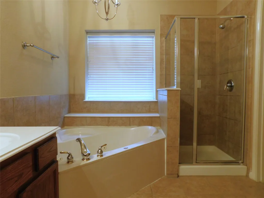 108 Red Bluff Drive Hickory Creek TX 75065