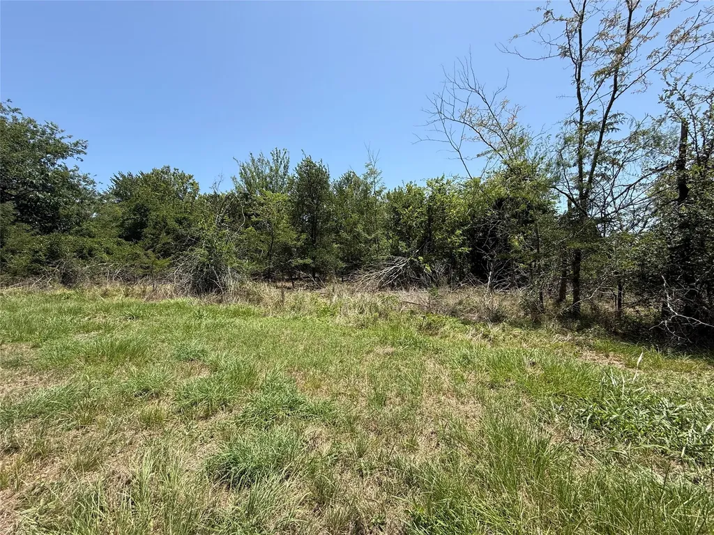 Lot 118 Sterling Drive Streetman TX 75859
