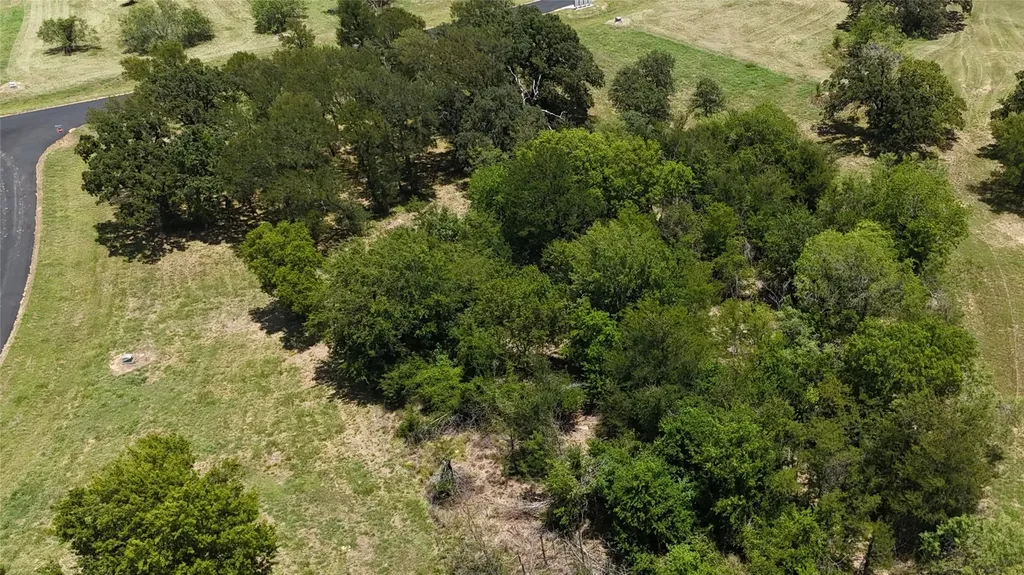 Lot 118 Sterling Drive Streetman TX 75859